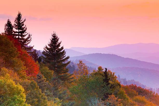 Fantastic Pet Friendly Cabin, Hot Tub, Fire Pit Sevierville Exteriér fotografie